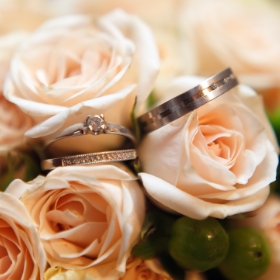 Titanium rings on peach-colored roses.