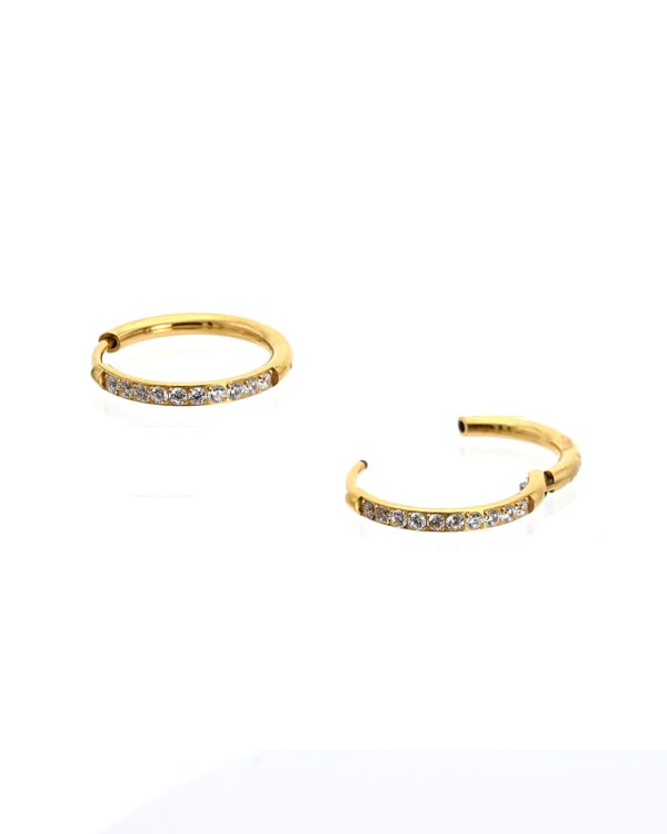 Elegant 14mm G23 Titanium Hoop Earrings with Gold or Silver Plating and CZ Inlay